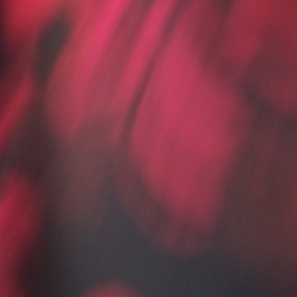 Cache new skirt - Picture 3 of 5